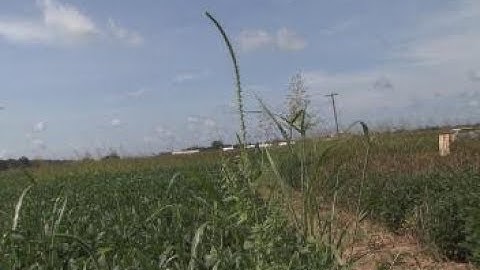 Weed Science-Part 6-Herbicide-resistant Weeds