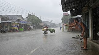 Rain and Thunder in Java ⛈️ Nature Ambience Sounds for Peaceful Night