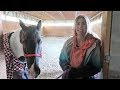 MORNING BARN ROUTINE!  CARING FOR HORSES! mp4