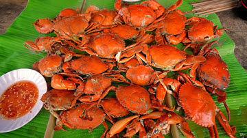 Kỷ Lục Đào Hang Bắt 30 Cua Biển Toàn Cua Cớm - Hai Da │ Rừng Ngập Mặn Cà Mau