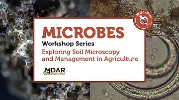 Soil Health Field Walk: No Till and Microbial Layers Part 2