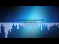 Best Non CopyRight Dubstep Song
