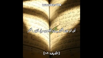سورة الكهف نور بين الجمعتين 🤍#جمعة_مباركة #سورة_الكهف #قرآن #quran #wazaker114