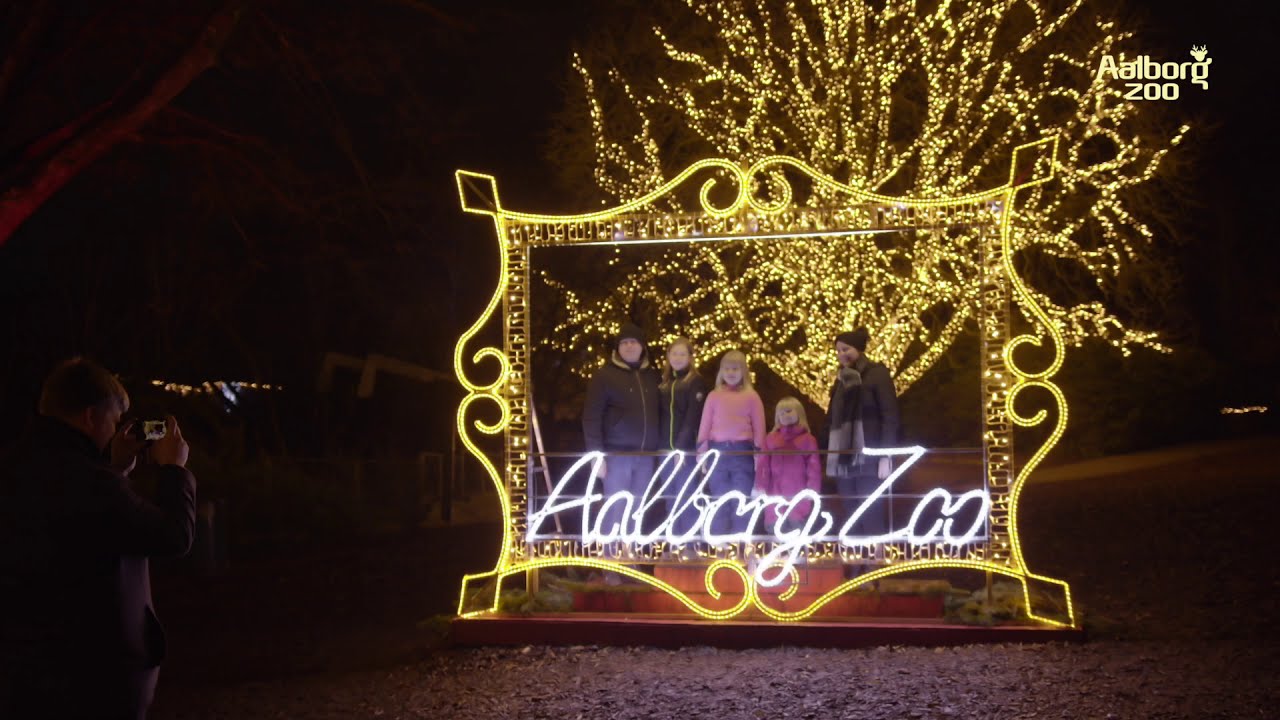 Rotere afslappet Pil Jul i Zoo 2019 - YouTube