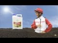 Bayer cropscience  jockey stayer seed treatment in canola