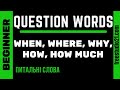 Question Words - питальні слова