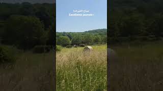 Un champs dans un village - حقل في قري  - Kadim Al Saher - Ana Wa Leila -  كاظم الساهر- انا وليلى -