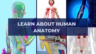 Basic Human Anatomy | 11 lessons | Audio Book | Medical Book | free audiobooks | Zakaria Fitness screenshot 4