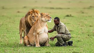 Download Lagu Alihatarisha Maisha Yake Kwa Kumsaidia Simba Kuzaa, Muda Mfupi Baadaye Jambo la Ajabu Likatokea😳 MP3 Download Lagu Alihatarisha Maisha Yake Kwa Kumsaidia Simba Kuzaa, Muda Mfupi Baadaye Jambo la Ajabu Likatokea😳 MP3