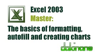 Excel 2003 - All you need to know to get started