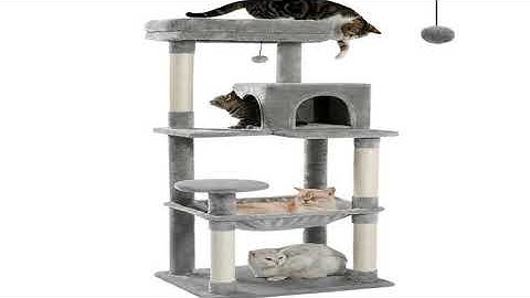 A must-have product! Cat Tree for Indoor Cats 5-Level Cat Tower for Large Cats with Large Hammock
