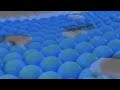 Samsung Logo Balls In @Slb638 G-Major 321