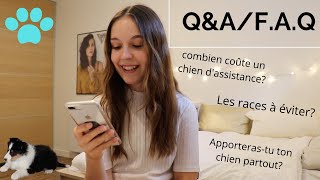 Q&A- Chien d’assistance [F.A.Q] by Emilie & Kanelle 1,089 views 2 years ago 12 minutes, 30 seconds