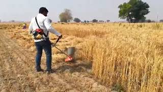 Really Brush Cutter In Wheat Demo 1