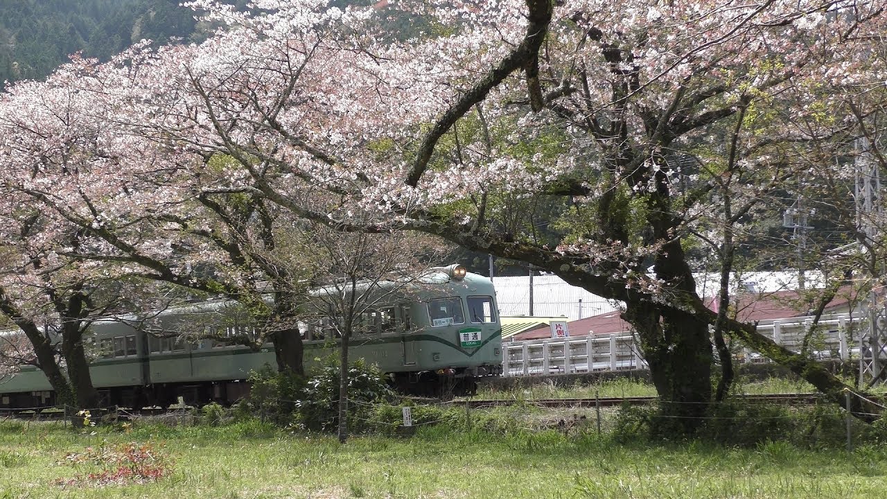 大井川鉄道 2017年 電車総集編