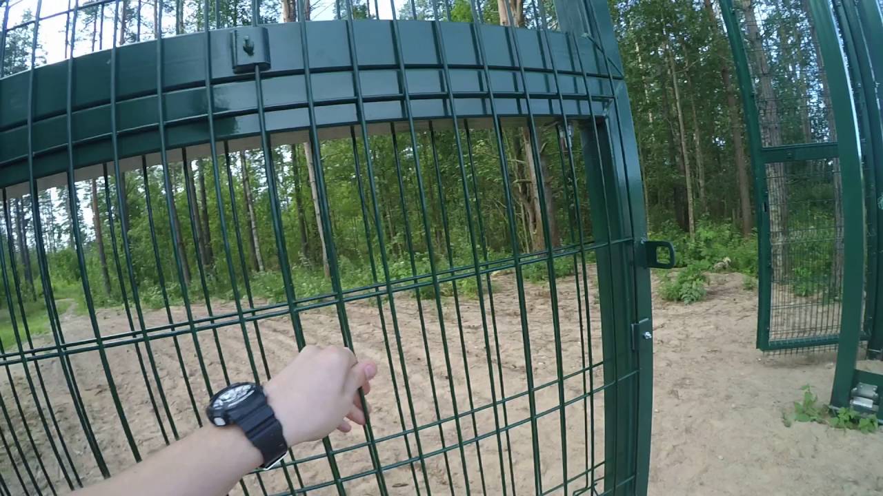 флешку ворота из сетки гиттер ближайших