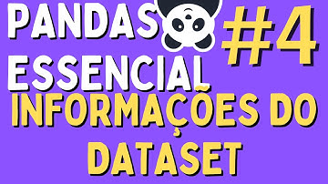 Manipulação de Dados em Python/Pandas - #04 Informações do Dataset