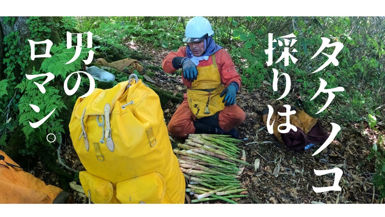 タケノコとりは男のロマン！