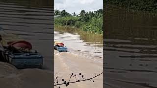 Xuồng đánh cá ở đồng tháp nè MN.