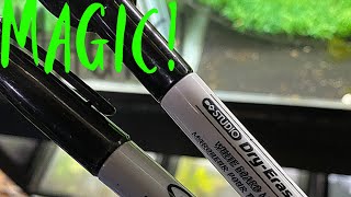 Aquarium Life Hack - How To Remove Permanent Marker