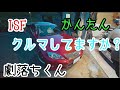 【レクサスIS F】激落ちくんで樹脂パーツの艶出し！メラミンスポンジ【LEXUS】DIY