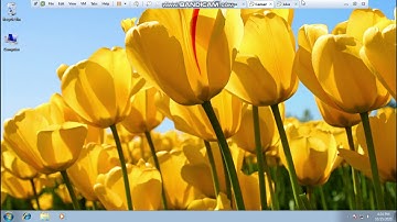 Remote Desktop Connection using VMware