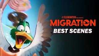 Migrations Best Scenes