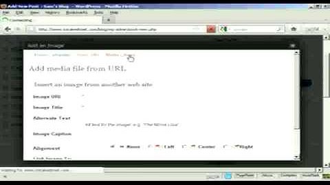 Wordpress Mastery Videos: Video 7 Preview - How to Insert and Format Images