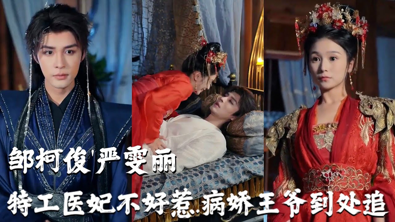 Medical and Poison Expert Transmigrates as a Consort of Sickly Prince [EngSub]