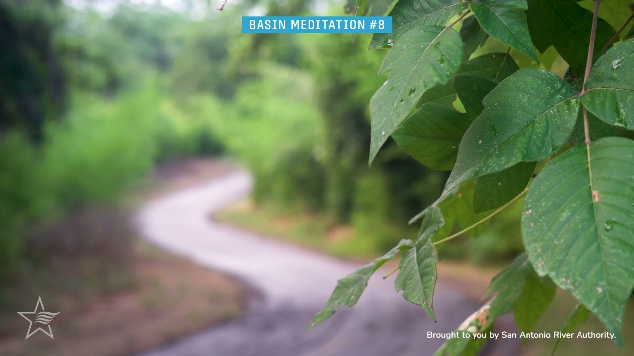 Relaxing Nature Sounds and Trail View at J Street Park - Basin
