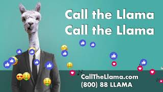 Check out The Llama for the best deals on car insurance. 🦙🦙🦙