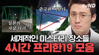 [#프리한19] (4시간) 싱크홀 속에 원시림이 존재한다고요?😮 도저히 설명하기 힘든 전 세계 미스터리 모음🤔 | #골라보는