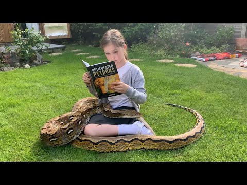 Reading about Reticulated Pythons by Sid James