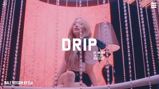 MALE VERSION | HINAPIA - DRIP