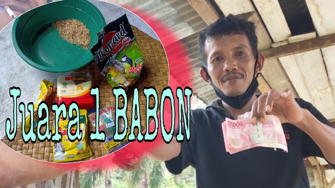 UMPAN BABON IKAN MAS