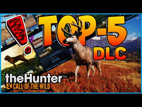 Видео: theHunter Call of the Wild ✅ DLC ✅ ТОП - 5 ДЛС 🏕️