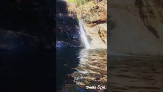 Huzur Veren Şelale Ve Kuş Sesleri Doğa Sesleri kısa