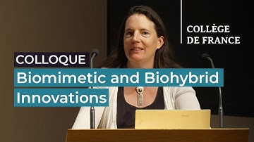 Advancing Biomaterials: Biomimetic and Biohybrid Innovations (10) - S. Lecommandoux (2024-2025)
