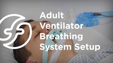 Adult Ventilator Breathing System Setup