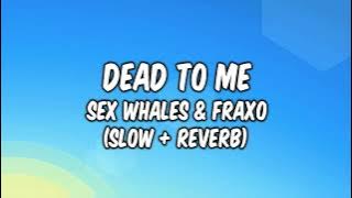 Whales & Fraxo - Dead To Me (Slow   Reverb) Lyrics