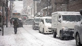Wow!! TOKYO gets first NOVEMBER SNOW in last 54 years || Winter 2016
