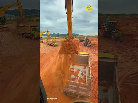 Excavators Load Soil Onto Trucks