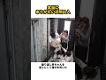 本当にありがたい近所の人