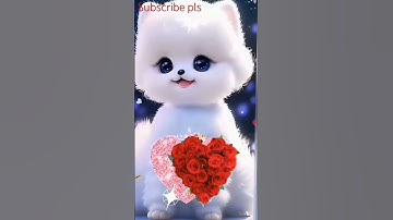 #shorts #nature cat#funny #trending #reels#4k_status#status cat#wish WhatsApp status video cat
