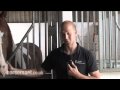 How do i know if my horse needs disease testing prior to breeding.mp4