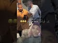 ياهمبقا
