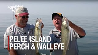 Perch & Walleye Action off Pelee Island | Kingsville Ontario