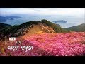 [경남100경 완전정복] 71경. 거제 대금산 진달래