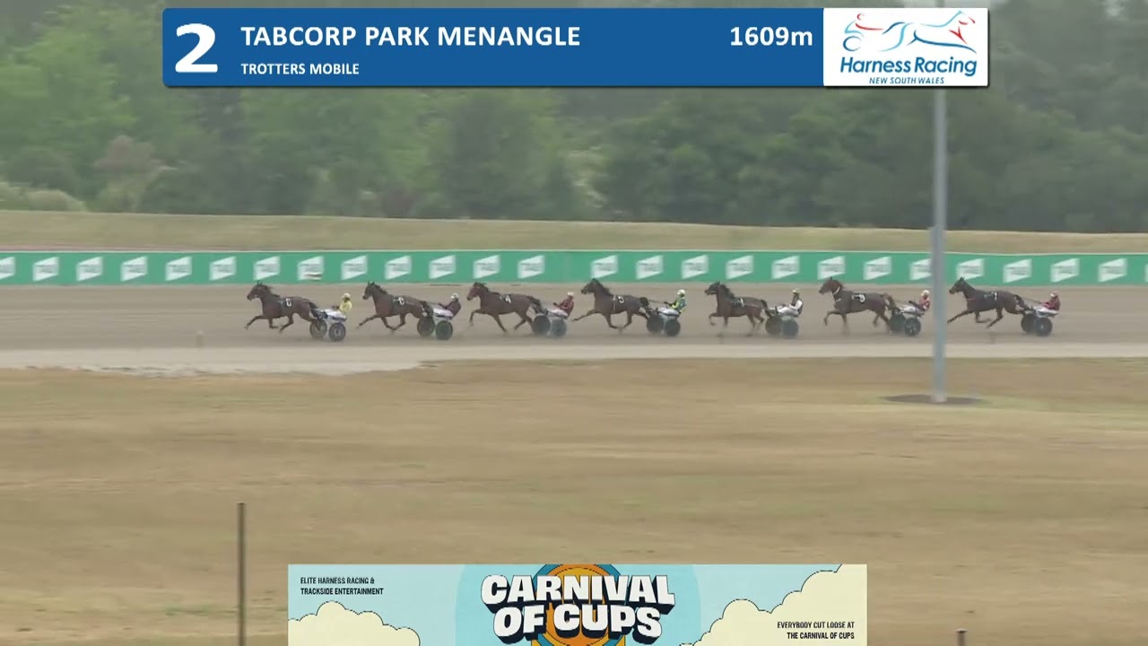 Sunset Hill ( Fabio ) Trial, 29th October 2025, Tabcorp Park Menangle. 💯🔥👊💪🤙!