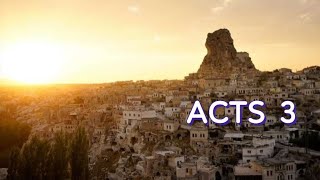 ACTS 3 NIV AUDIO BIBLE
